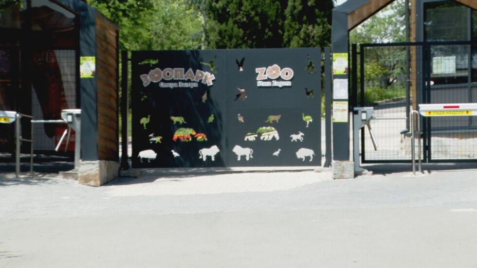 Овладяна е ситуацията в зоопарка в Стара Загора след бягството на леопард