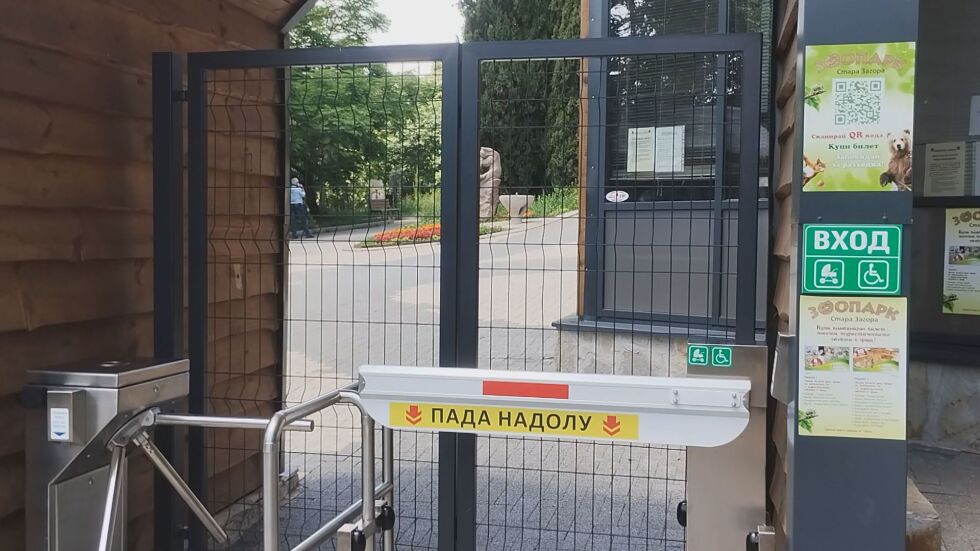 Леопардът Данте е върнат в клетката си в зоопарка в Стара Загора
