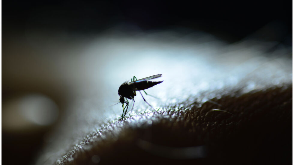 Първи случаи на малария в САЩ от десетилетия насам 