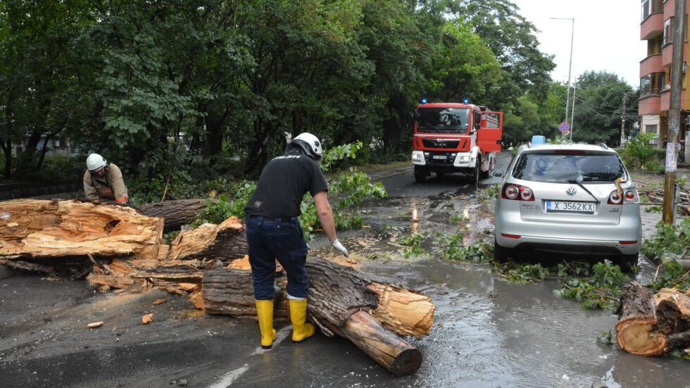  Гръмотевична стихия и градушка като лешник: Дървета паднаха върху коли в Хасково (СНИМКИ и ВИДЕО) 