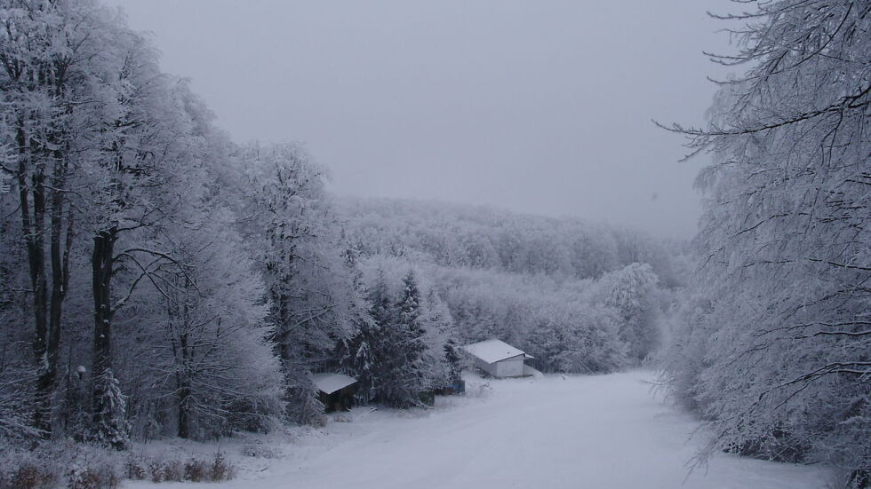 "Зимата през февруари два пъти напомня за себе си": От -12° до 20° 