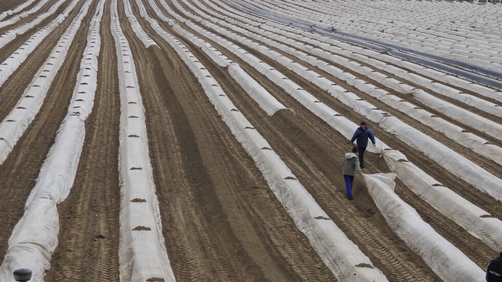 Заради COVID-19: Cезонни работници, от чиято реколта се изхранва Европа, блокирани на границата