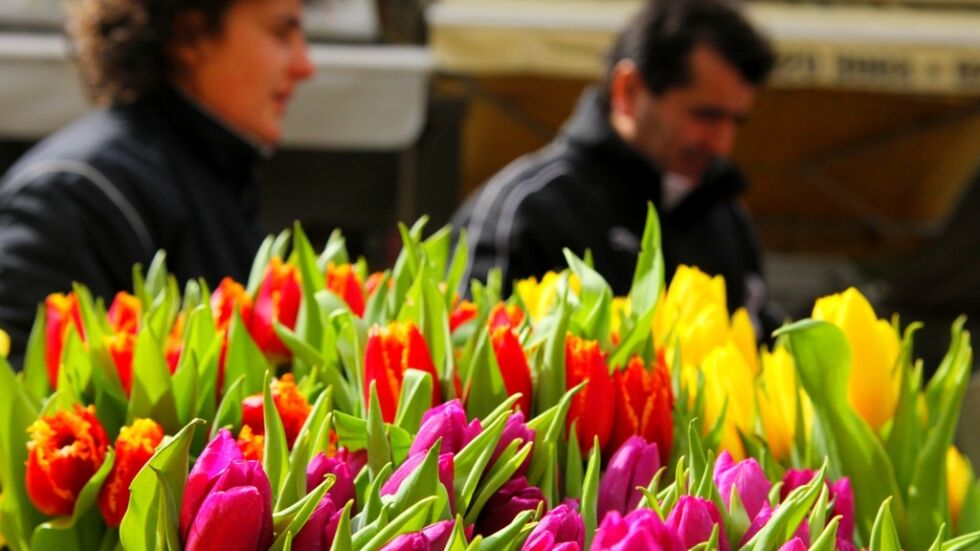 Свети Валентин: Колумбия е изнесла рекордните 57 тона цветя за празника
