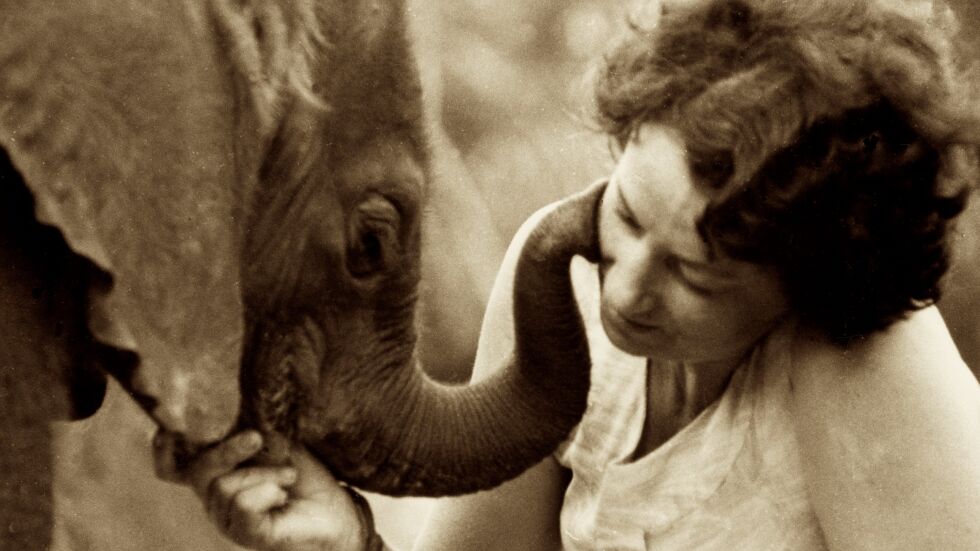 Да живееш между любов и слонове: Дафни Шелдрик