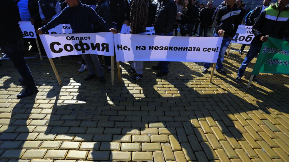 Протест на износителите на дървесина пред парламента (СНИМКИ)