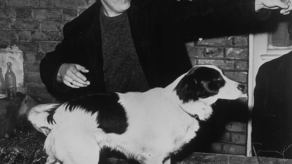 Пикълс – кучето, което спаси Световното първенство през 1966