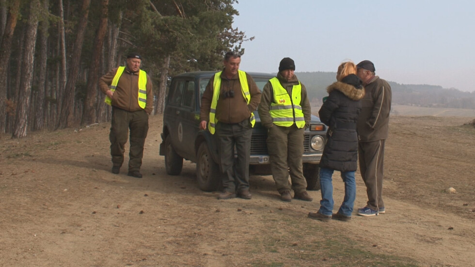 За 10 дни има 4 горски, пострадали при нападения в Панагюрско