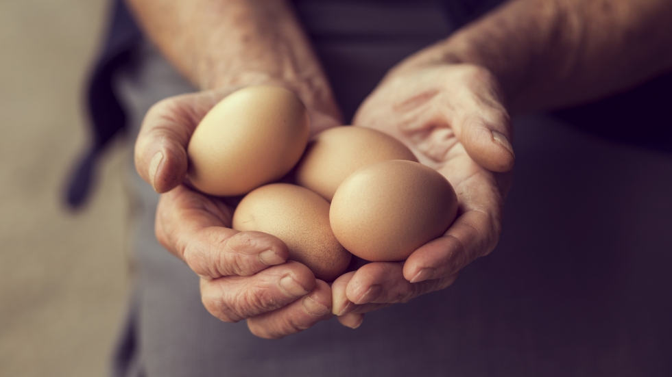 Какво ще се случи с тялото ви, ако изяждате по 2 яйца на ден
