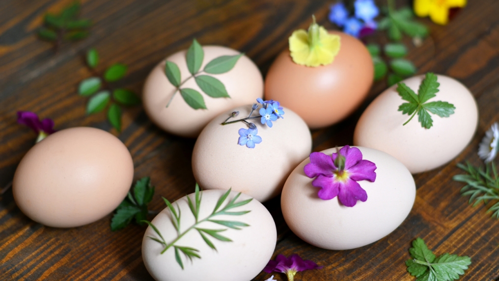 Боядисване на яйца с цветя и люспи лук