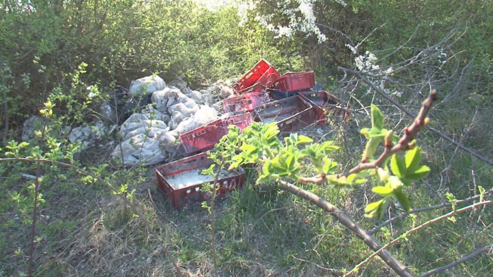 Десетки нерегламентирани сметища на пътя Русе – Варна