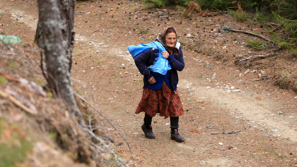 "Изгубени във времето": Баба Минка от с. Кутела все още катери по 15 км в планината