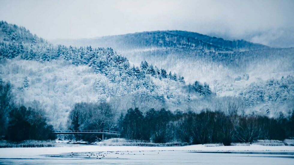 Зимата се завърна: най-добрите снимки в Инстаграм за седмицата