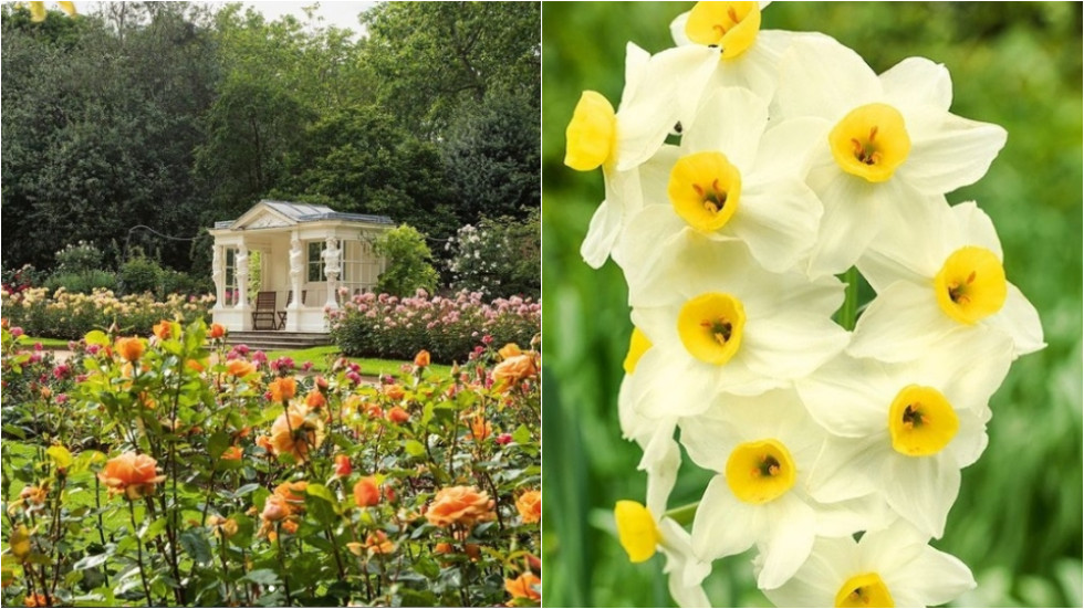 10 тайни, които се крият в градините на кралица Елизабет в Бъкингам