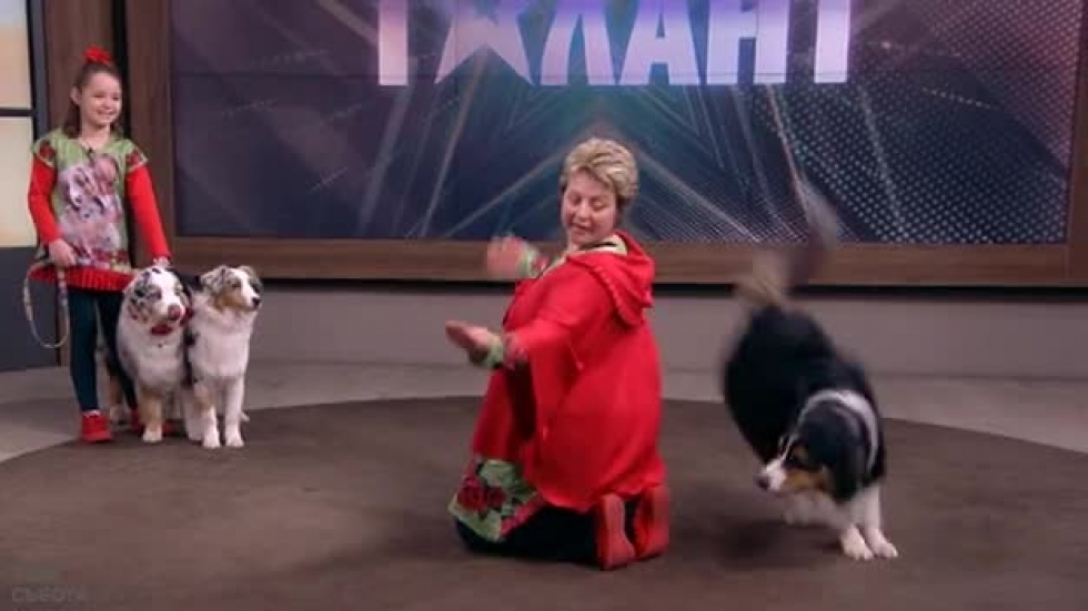 Треньорката на кучета Веселка от "България търси талант": Носят ми много радост (ВИДЕО)