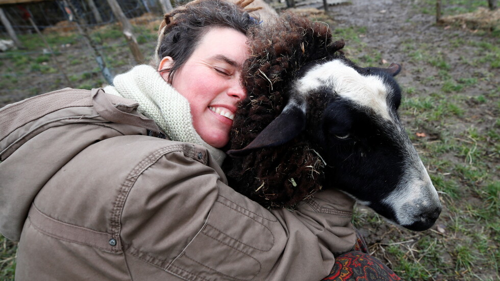 Лекарство срещу самотата по време на пандемия: Германци прегръщат овце (СНИМКИ)