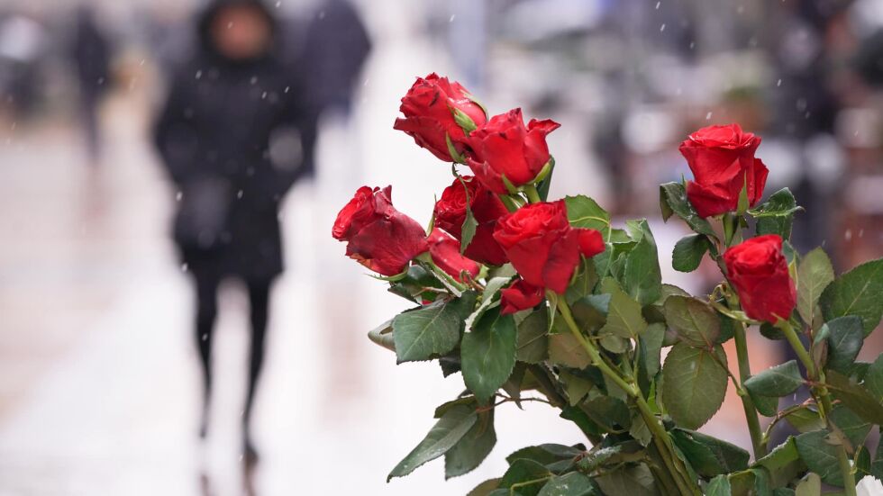 На 8 март: Какви цветя купуват за любимата жена