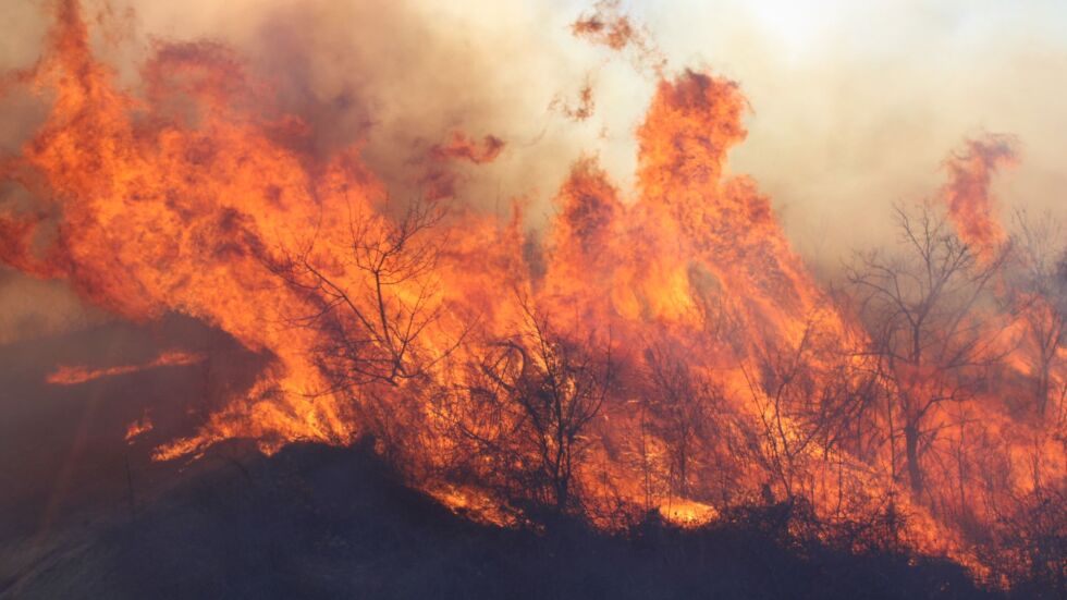 Пожар гори на територията на „Мини Марица-изток“