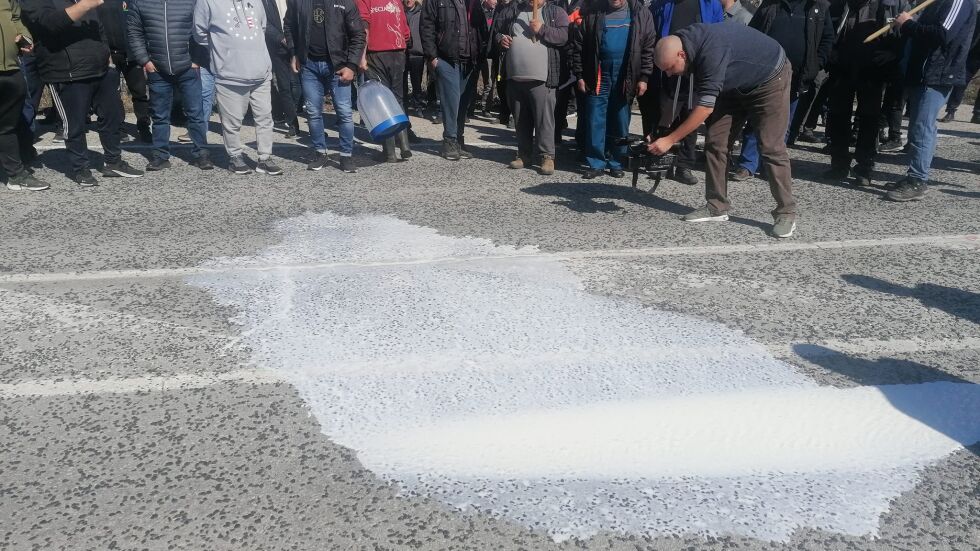 В знак на протест: Земеделци изкараха агне и разляха 20 л мляко на пътя (СНИМКИ)