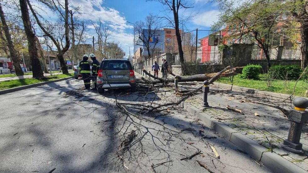 Щетите от силния вятър: Паднали дървета спряха влаковете между Пловдив и Филпово