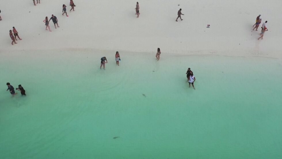 Туристи и акули делят екзотичен залив (ВИДЕО)