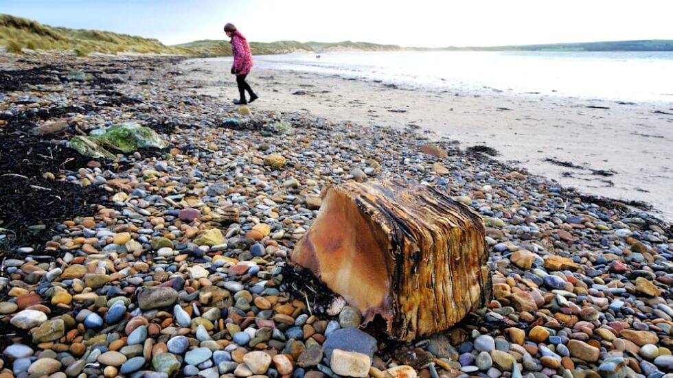 Мистериозен пакет, изхвърлен на плаж в Шотландия, може да е от "Титаник"