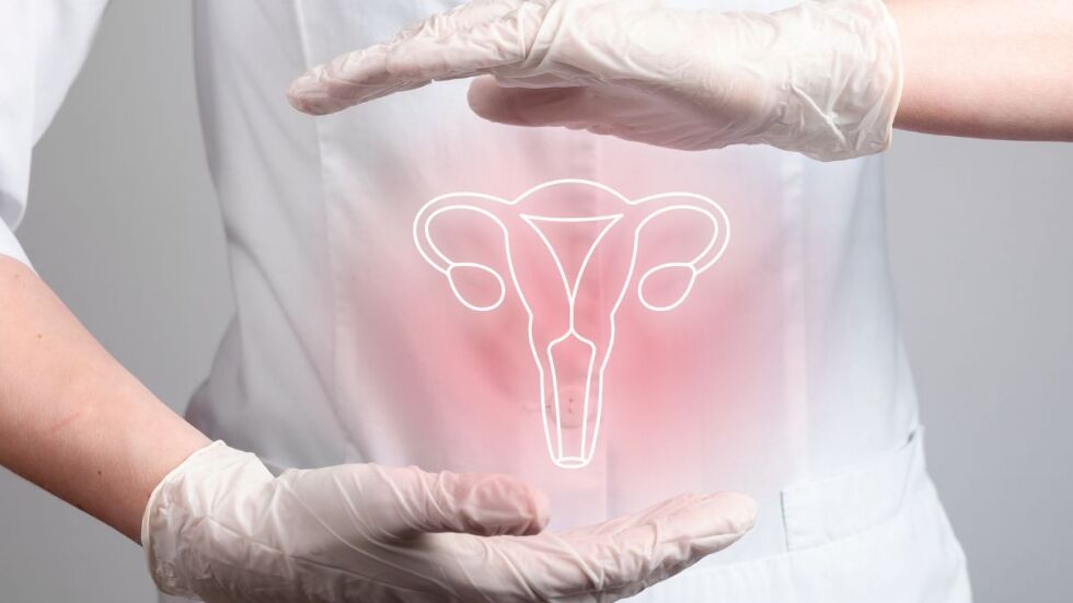 Какво трябва да знаем за папилома вируса (HPV), за да се предпазим от рак на маточната шийка?