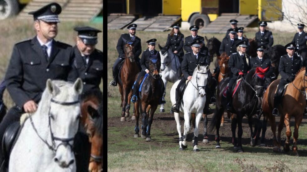 За Тодоровден: История за любовта и връзката между полицай и неговия кон