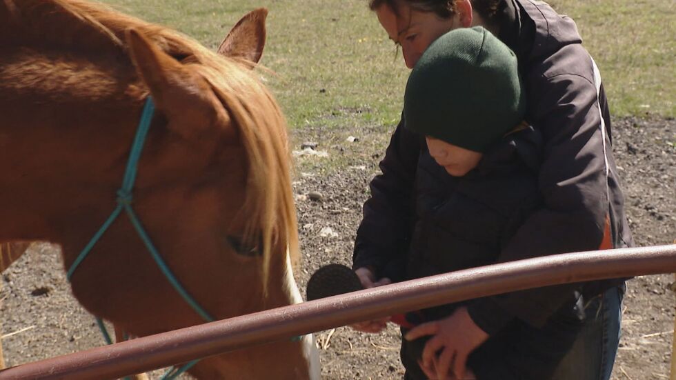 Лечение чрез конна терапия: Как животните успокояват децата и им помагат двигателно