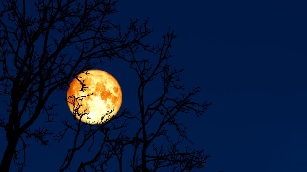 Червеева луна: Пълнолунието идва с леко затъмнение