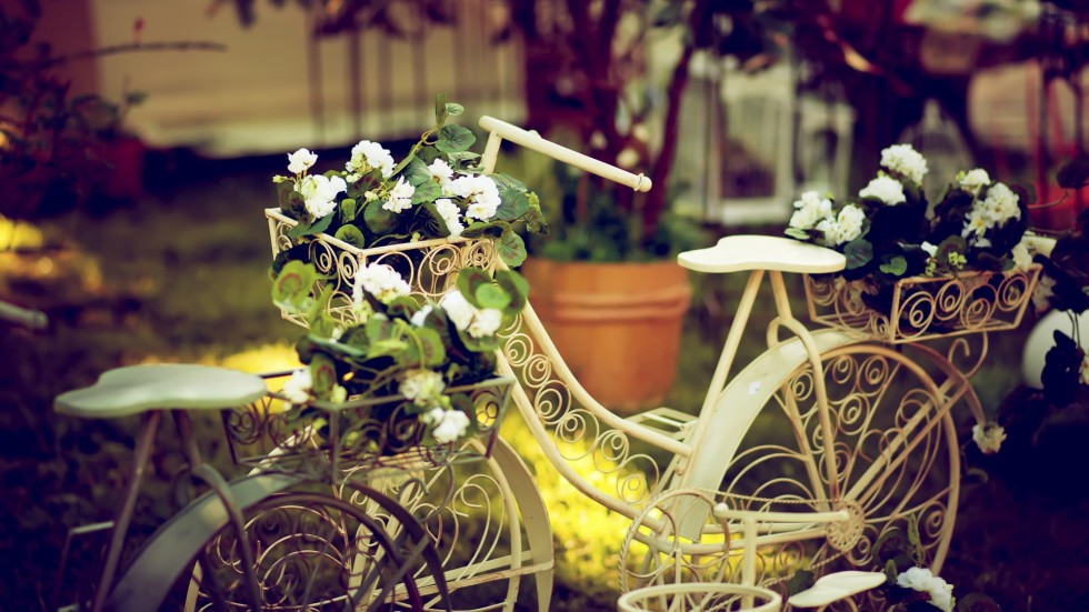Велосипедът – част от декора на цветната градина
