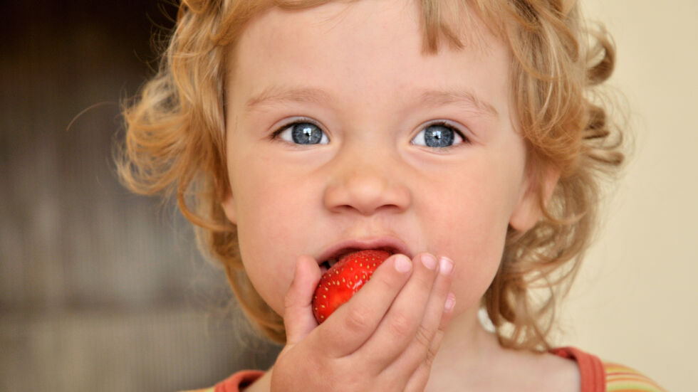 5 ползи от ягодите за здравето на децата
