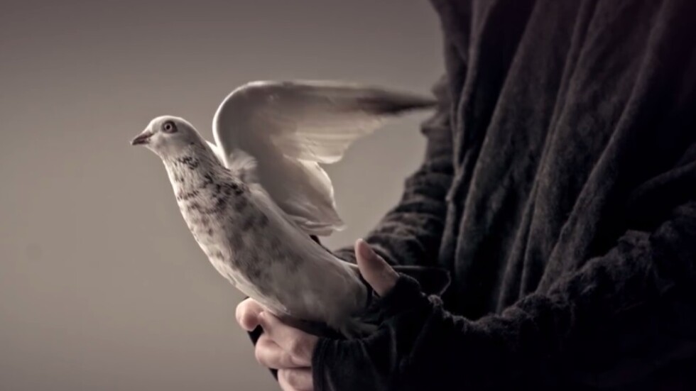 Гълъб със скрито послание носи късмет на Кристиан на „Евровизия”