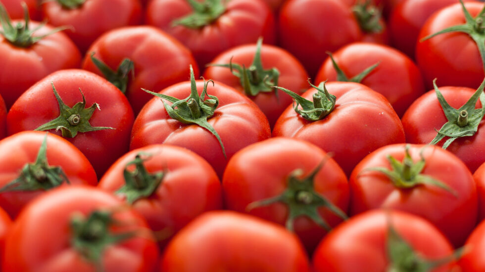 В наша съседка доматите стигат до 26 лева за кг