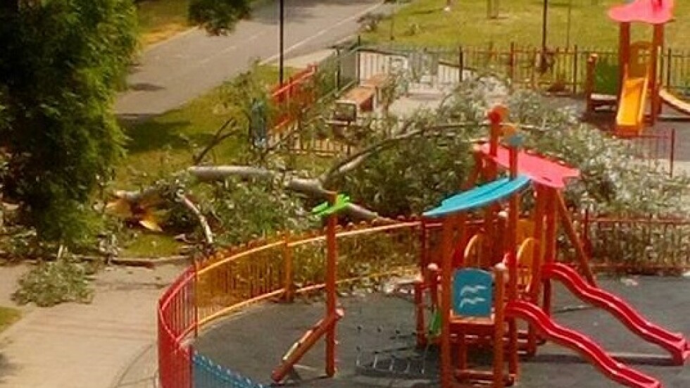 Огромно дърво падна върху детска площадка в Благоевград