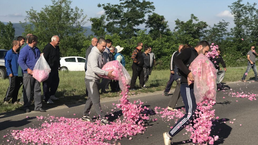 Розопроизводители отново излязоха на протест