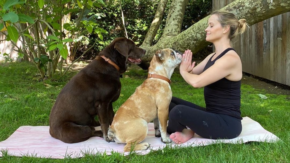 Рийз Уидърпсуун учи кучетата си на йога и търпение