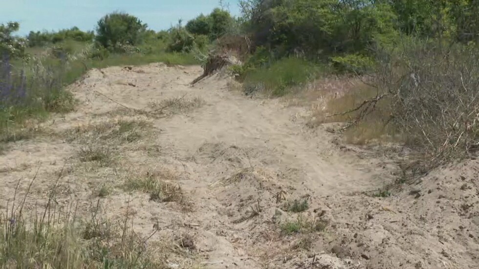 Разораните дюни в Ахтопол: Екоинспектори проверяват действията на концесионера