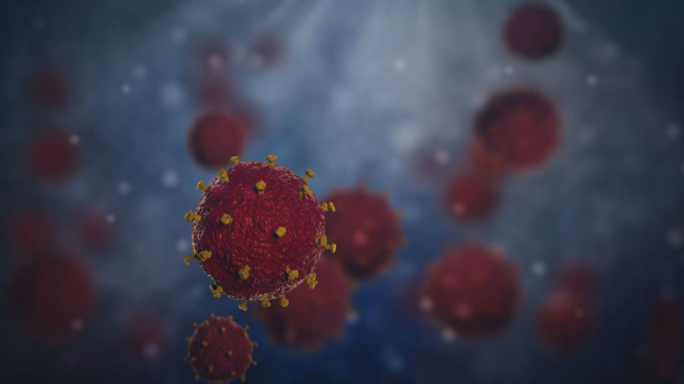 Проучване: Възможно е повече хора да имат имунитет към COVID-19, а тестовете да не го отчитат