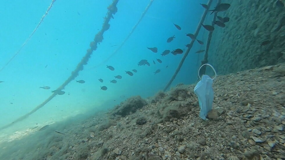 Повече маски от медузите: Водолази откриват отпадъци от COVID кризата
