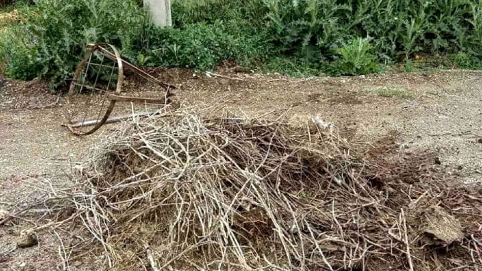 Две щъркелчета загинаха, след като буря събори гнездото им в Хаджидимово