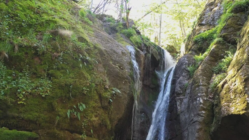 Почивка в планината: Живописни екопътеки водят към Копренските водопади