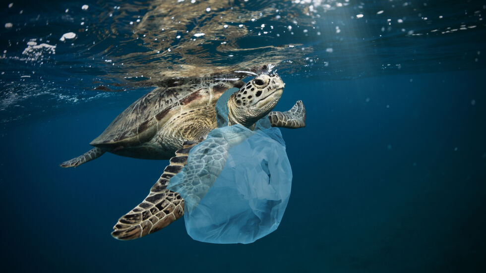 Повторна употреба и рециклиране: Можем да намалим замърсяването с пластмаса с 80% до 2040 г.