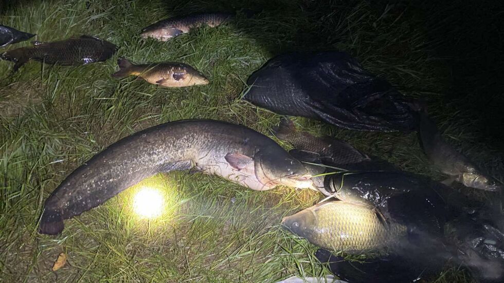 Задържаха двама бракониери с близо 100 кг риба край язовир „Огоста“ (СНИМКИ)