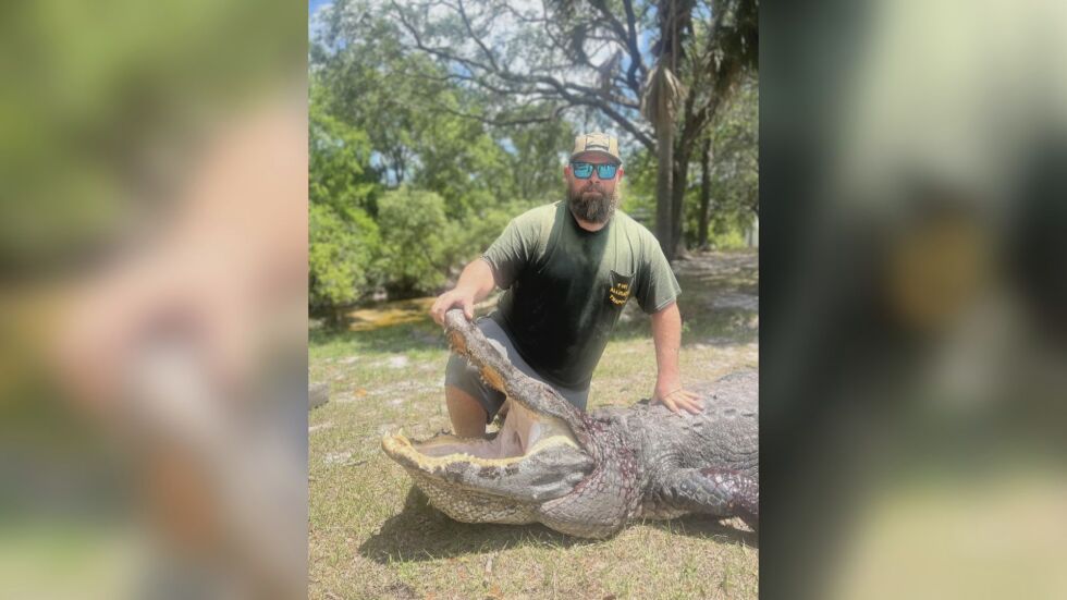 Мъж спаси кучето на приятелката си от устата на четириметров алигатор (СНИМКИ)