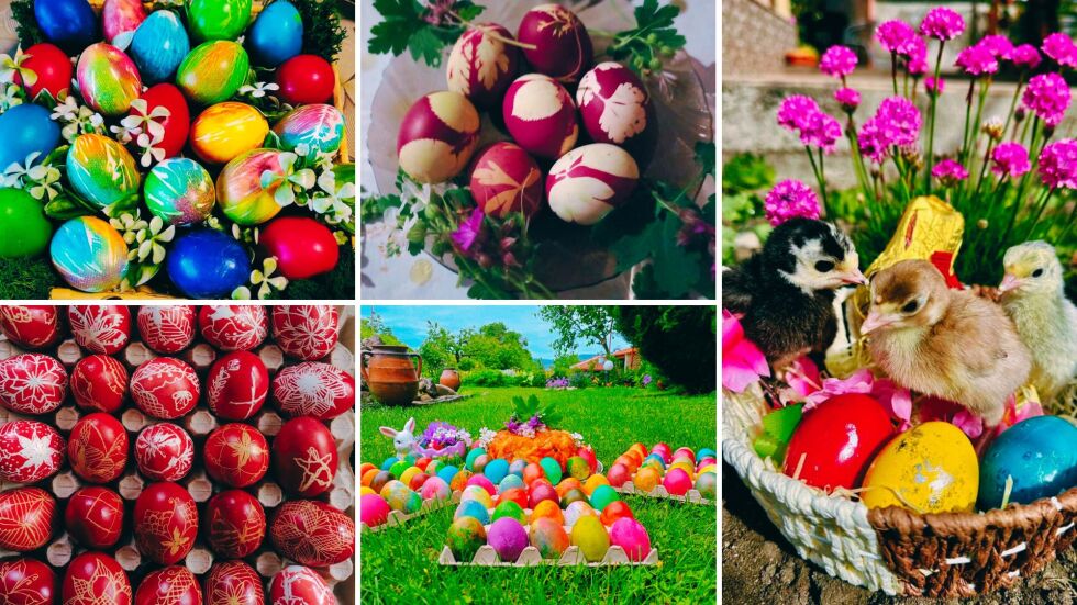  От феновете на bTV: Пуснахте ни в домовете си, с цел да забележим вашия Великден (ГАЛЕРИЯ) 