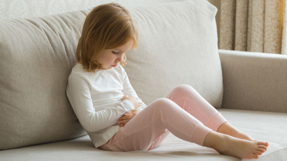  „ Ядоха печен сандвич с яйце и сирене “: Как се стигна до хранителното отравяне на 48 деца? 