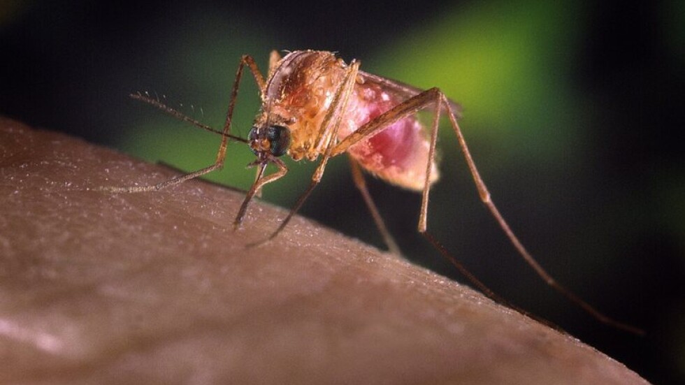 Бил Гейтс и Великобритания заделят 4.5 млрд. за борба с маларията