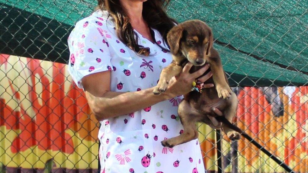 Светлана Хънт – украинската Бриджит Бардо, която отвори ветеринарна клиника във Варна