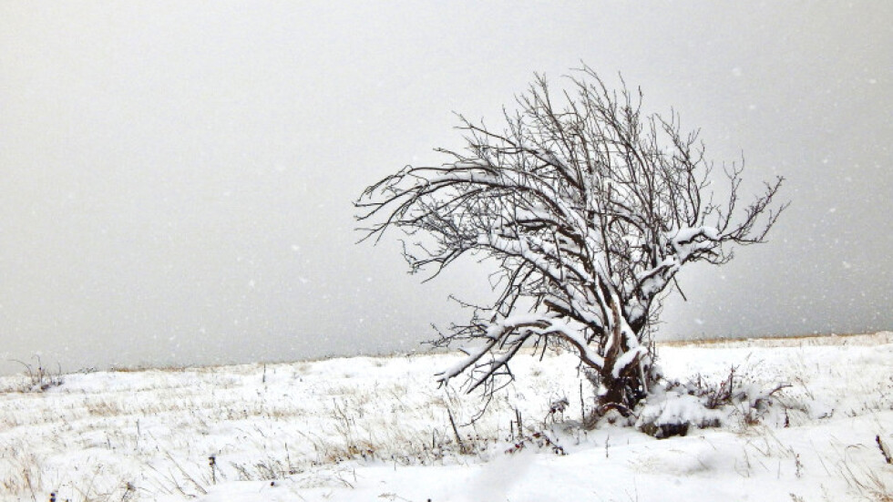 Сняг и силен вятър в Североизточна България в събота