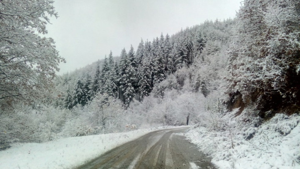 Оранжев код за обилен сняг и виелици в Северозападна България